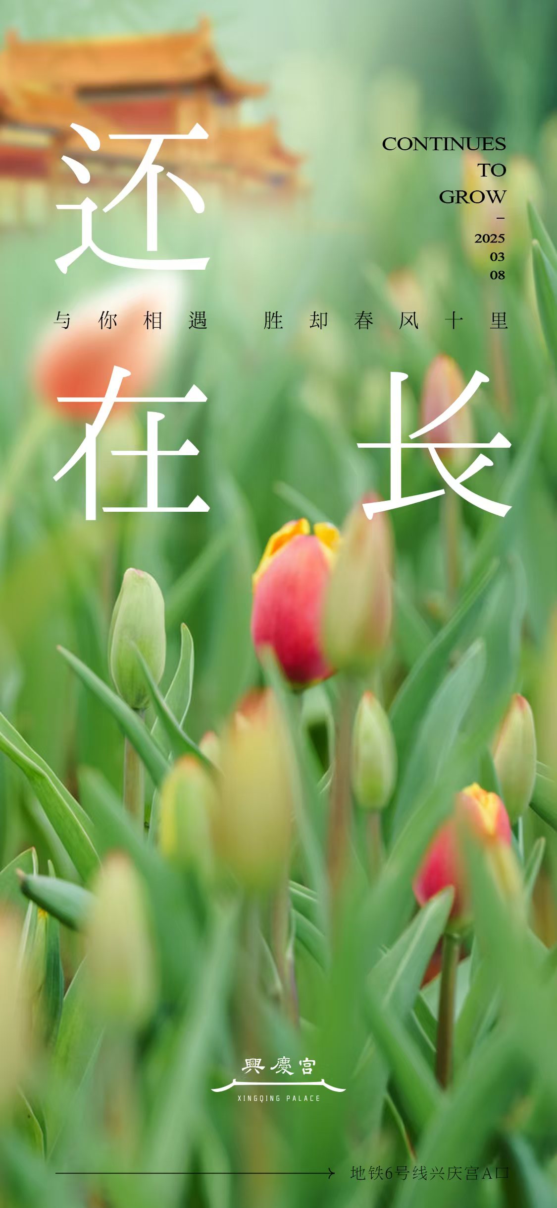 正在长.jpg