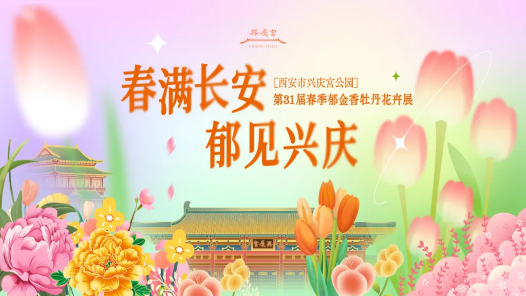 微信图片_20250331093135.png