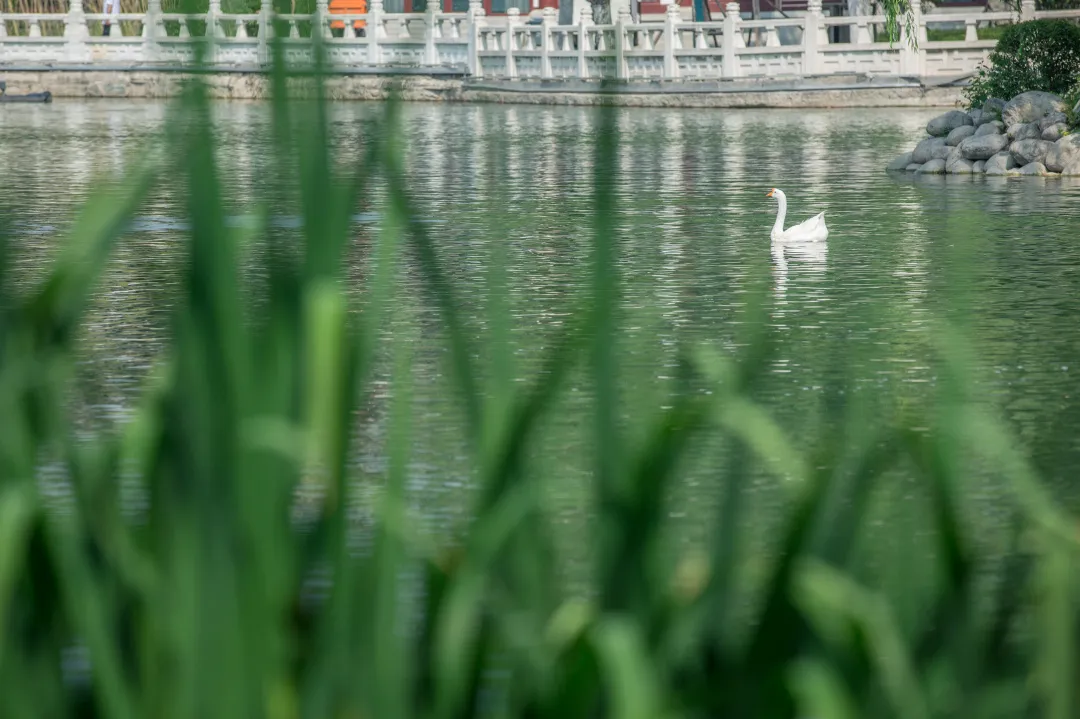 微信图片_20250513113148.png