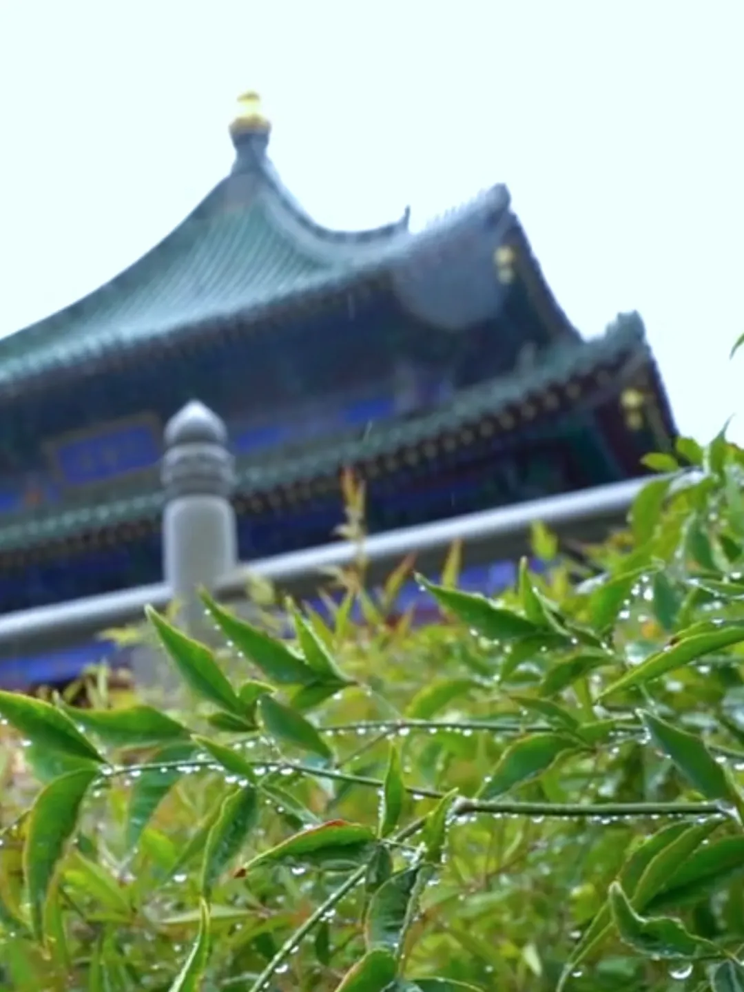 /storage/uploads/image/2025/06/25/c7fd46f00f410b57c2049e05bacfcd18.png 微信图片_20250625103631.png