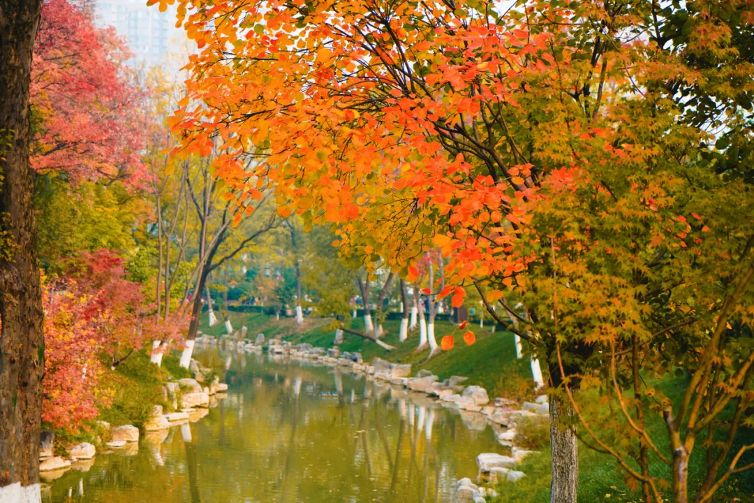 /storage/uploads/image/2025/11/19/0335660ded332bcc89655f6909ba1146.png 微信图片_20251118152244_316_16.png