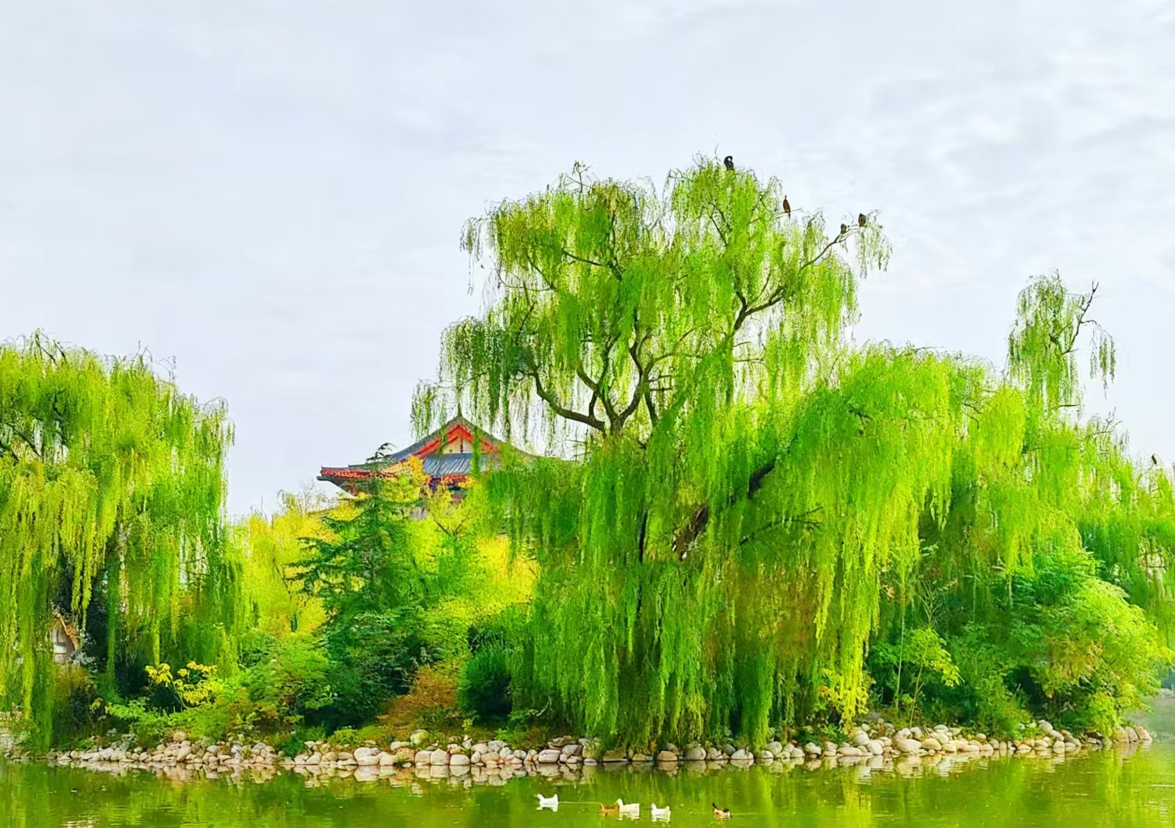 /storage/uploads/image/2025/11/19/4faaf468d7ca6e6bd933db80810b4565.jpg 微信图片_20251118112753_315_16.jpg