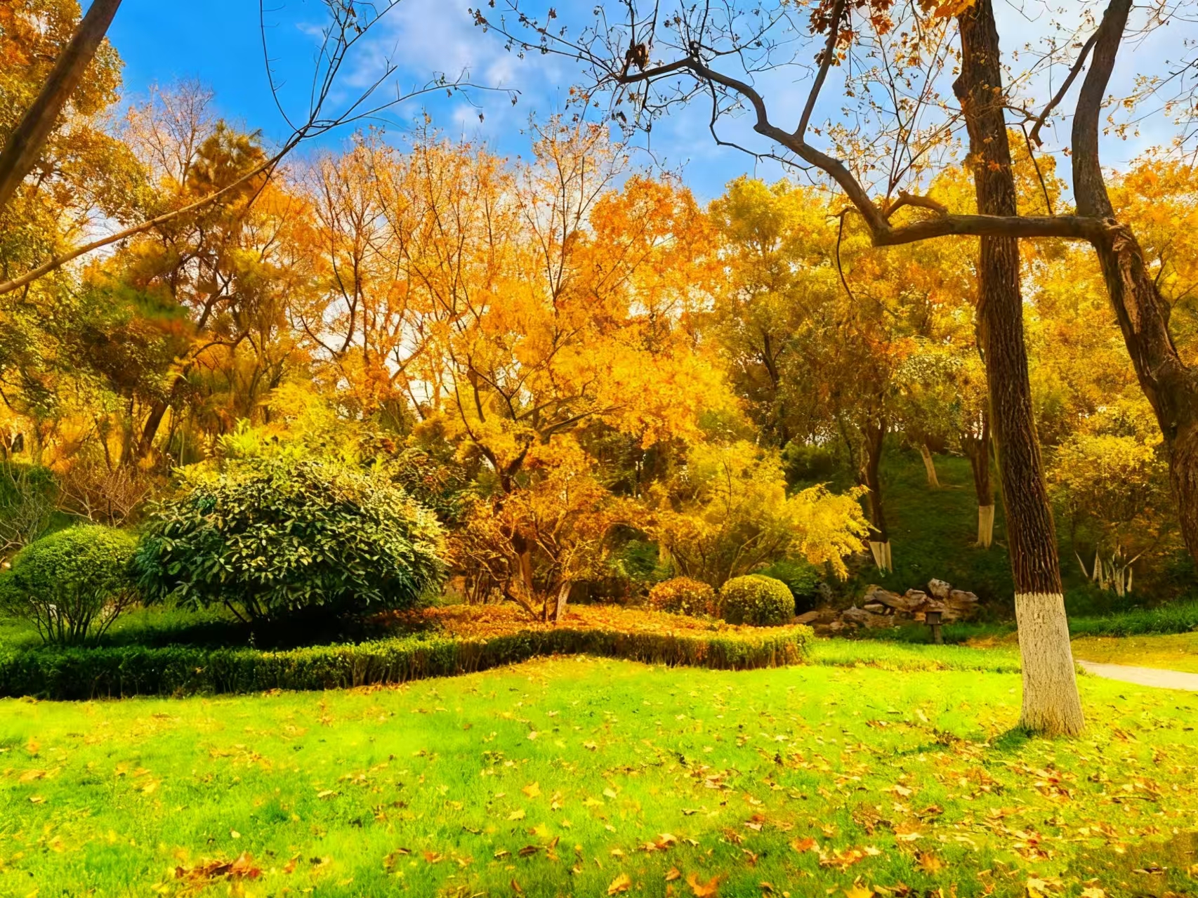 /storage/uploads/image/2025/11/19/81d79f50d0a3be1b05cc142cc7b37275.jpg 微信图片_20251118111301_297_16.jpg