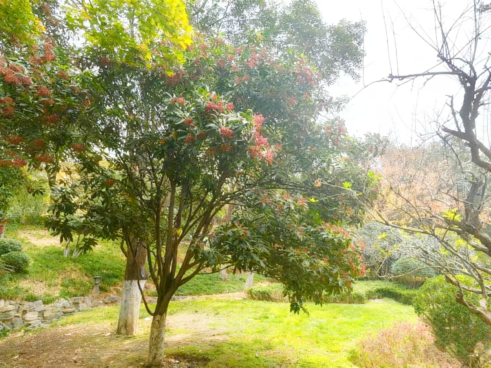 /storage/uploads/image/2025/11/19/8dcdcb10b60aa0740cc871c1ae111149.jpg 微信图片_20251118111300_296_16.jpg